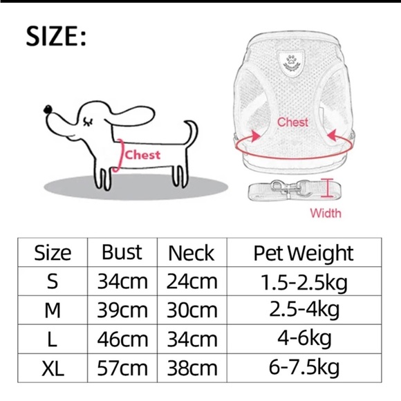 🔥 Cat Harness Vest Walking Lead Leash - Picture 2 of 3